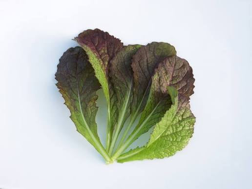 Local Fresh Red Mustard Greens