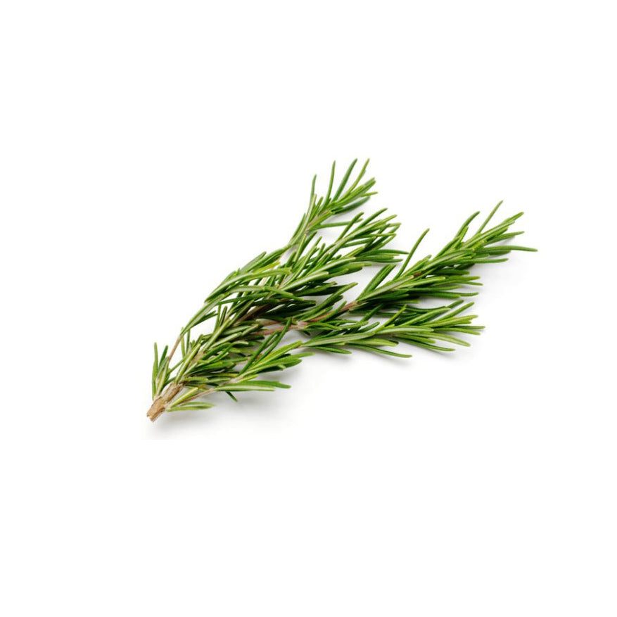 Local Fresh Rosemary