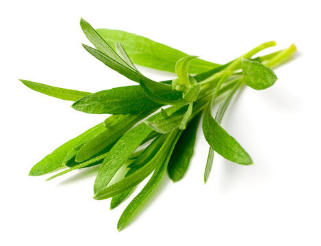 Local Fresh Tarragon