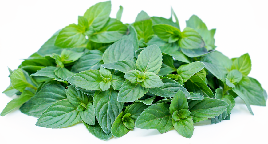 Fresh Basil Mint