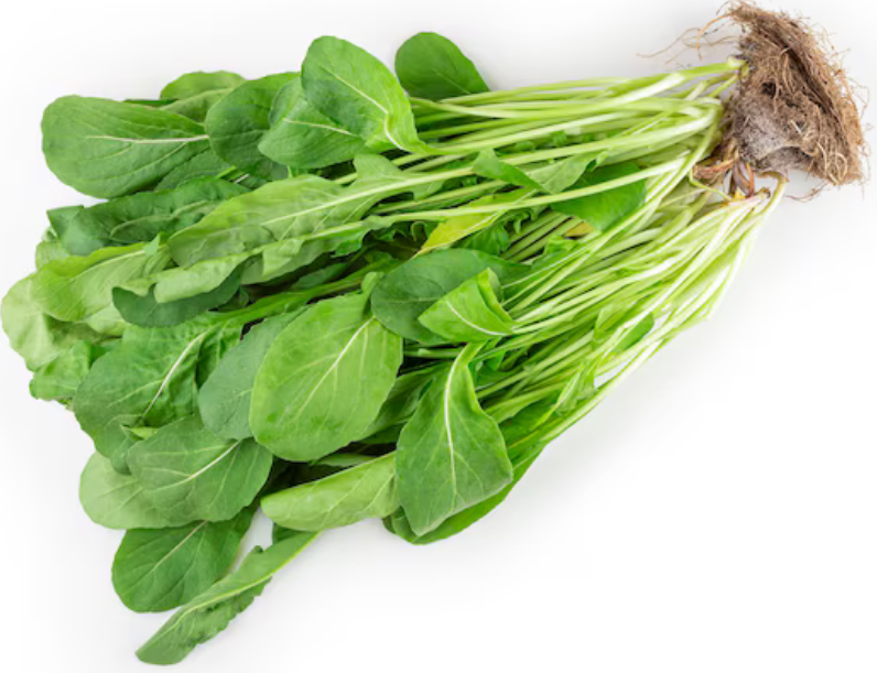 Arugula Plant