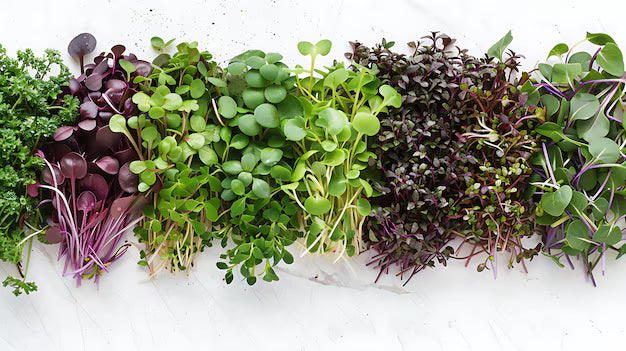 Micro Greens