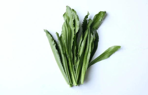 Local Fresh Shado (Chadon) Beni