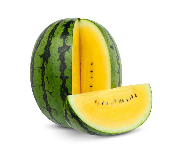 Watermelon Plant