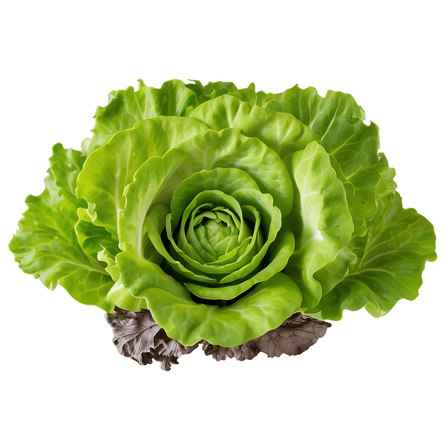 Green Leafy Vegetables