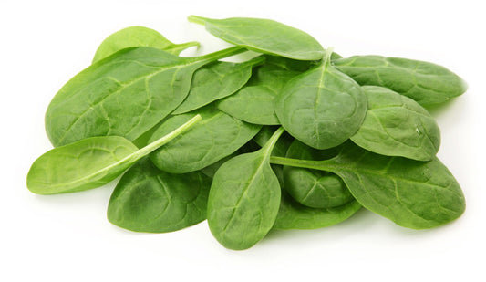 Local Fresh Spinach