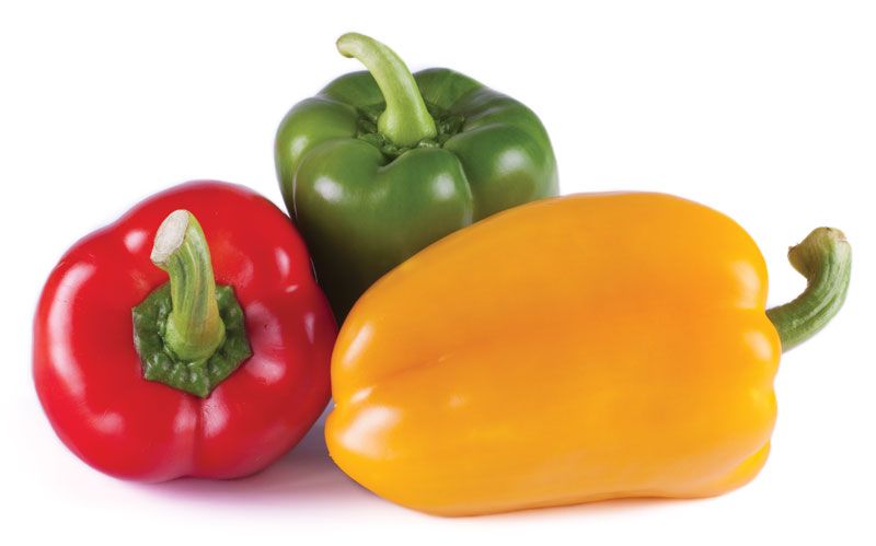Local Rainbow Colored Bell Peppers