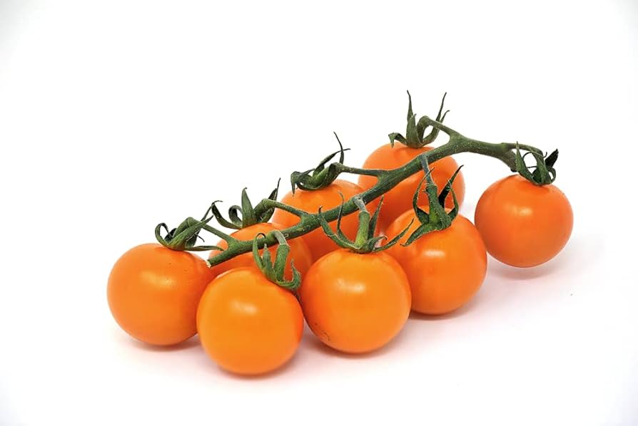 Cherry Tomato Plant