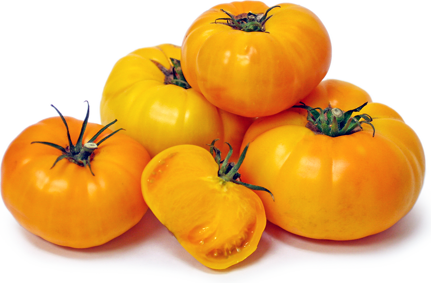 Tomato Plant