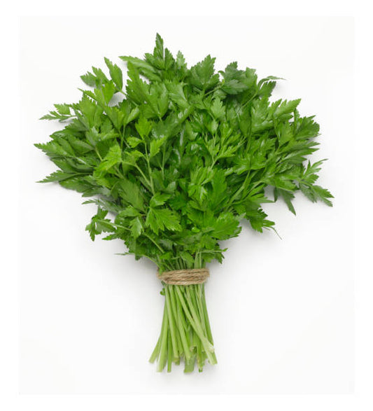Local Fresh Parsley