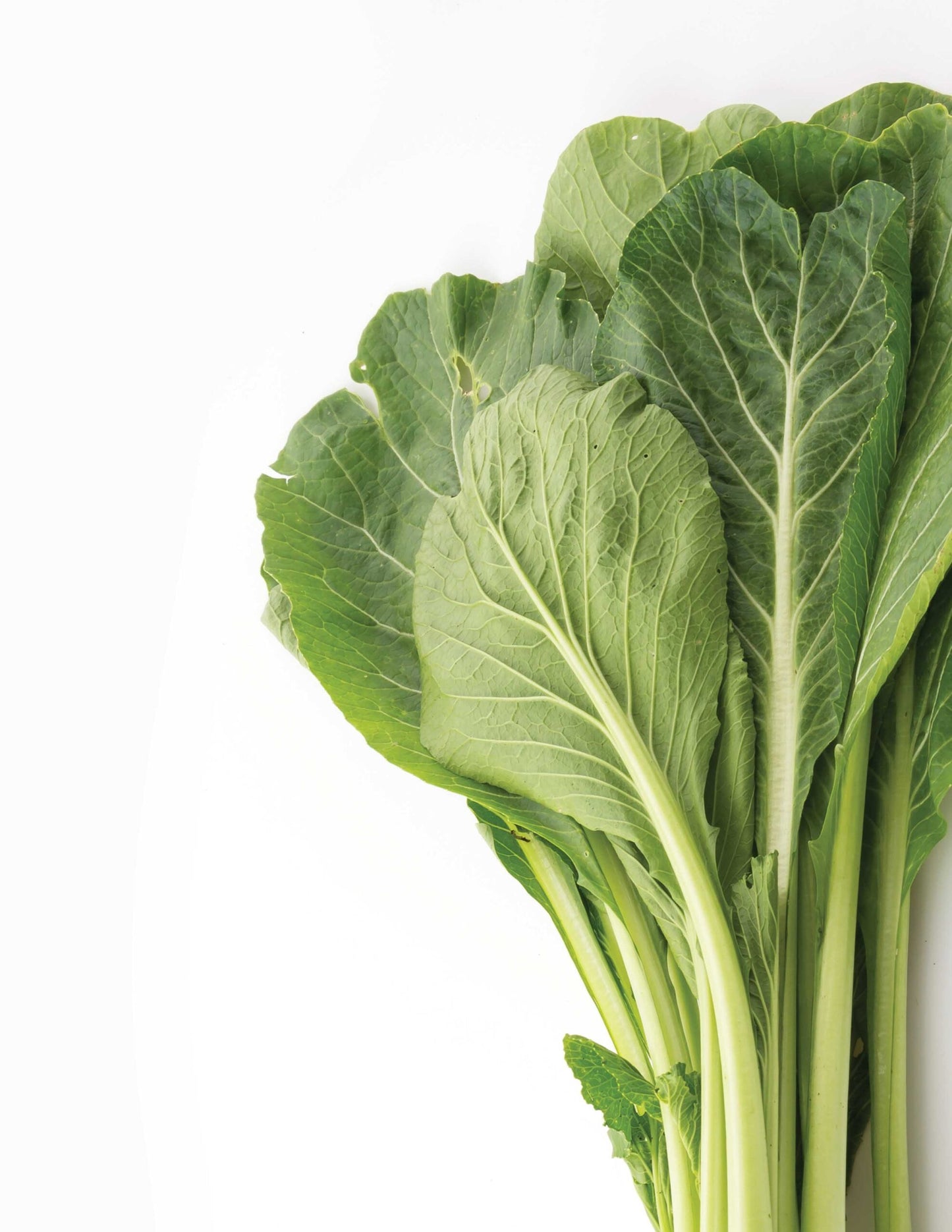 Local Fresh Green Mustard greens