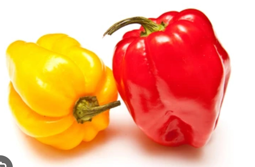 Local Rainbow Seasoning Peppers