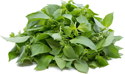 Fresh Lemon Basil
