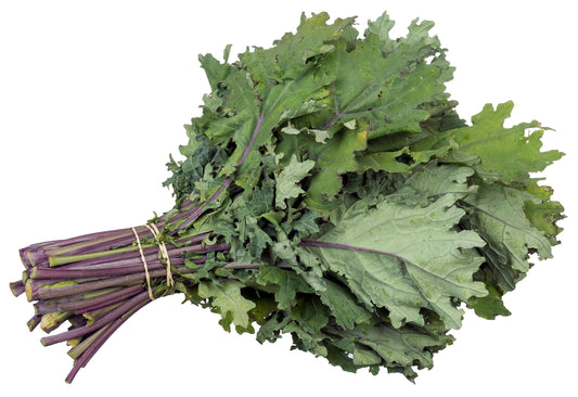 Kale - Red Russian