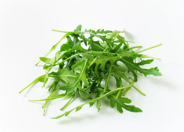 Fresh Arugula Leaves