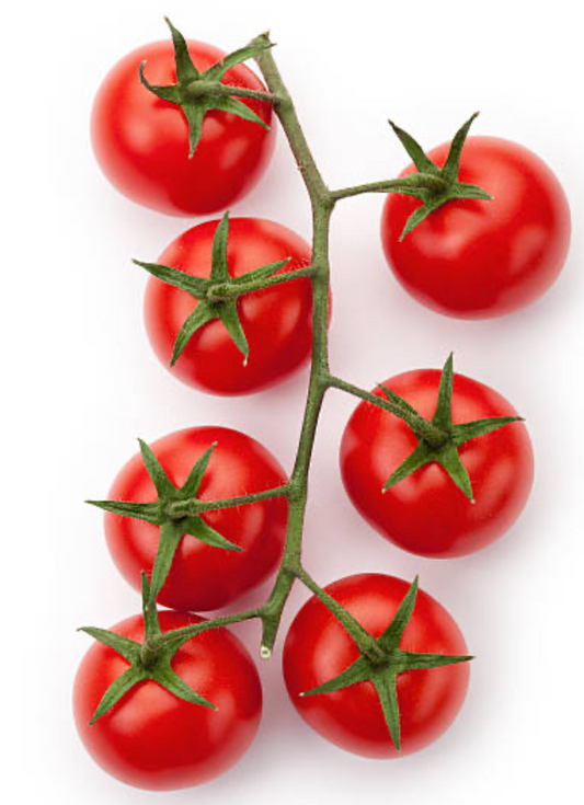 Cherry Tomato Plant