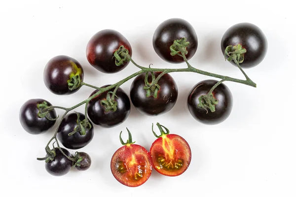 Cherry Tomato Plant
