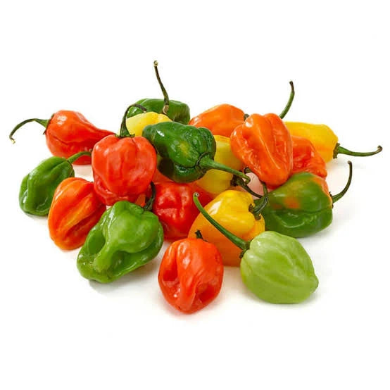 Local Fresh Habanero Pepper