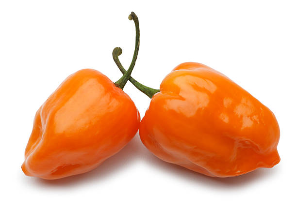 Local Fresh Habanero Pepper