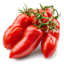 Tomato Plant