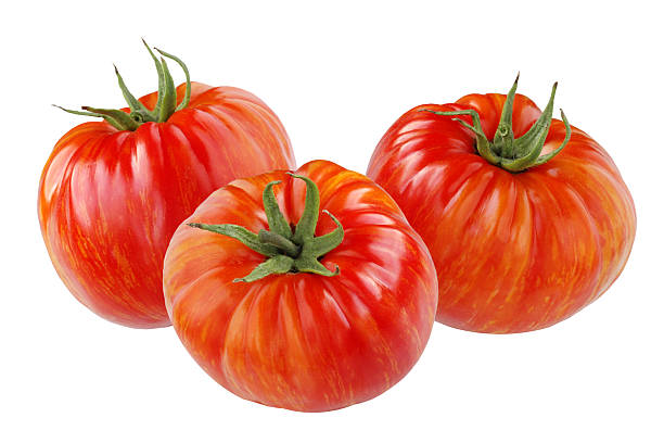 Tomato Plant