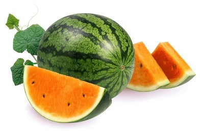 Watermelon Plant