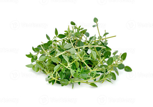 Local Fresh Lemon Thyme