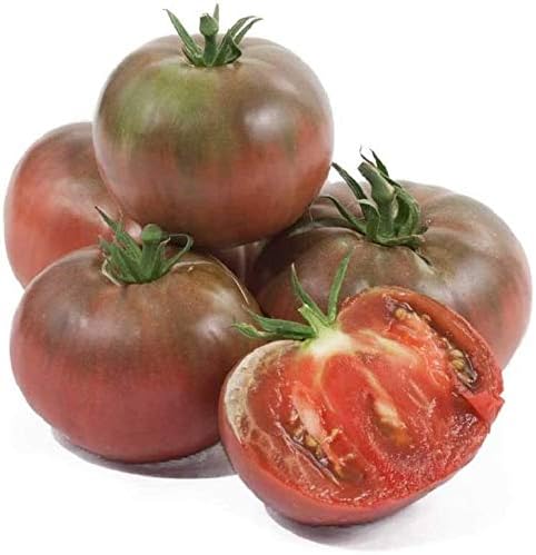 Tomato Plant