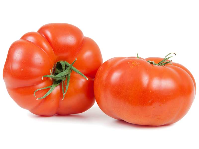 Tomato Plant